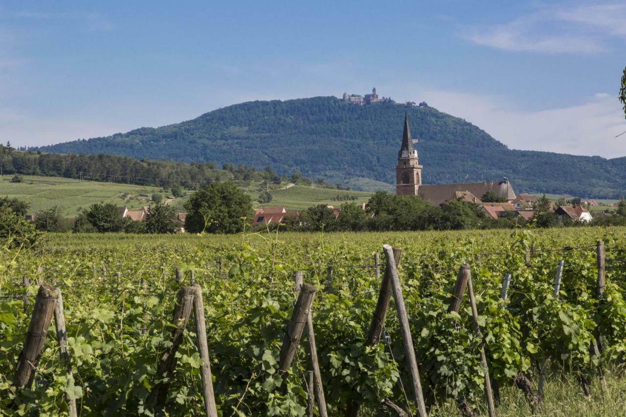 Residence Odalys Le Domaine Des Rois Bergheim Bagian luar foto